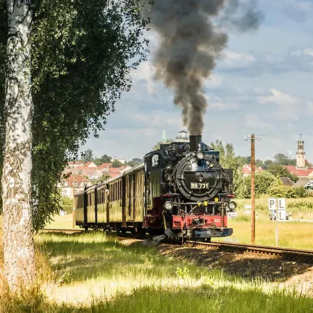 Erholen Im Tiny House Am Waldrand Kurort Oybin