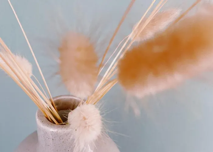 Erholen Im Tiny House Am Waldrand كورورت أوبين