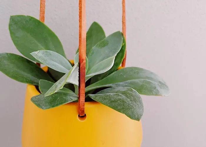 Erholen Im Tiny House Am Waldrand كورورت أوبين