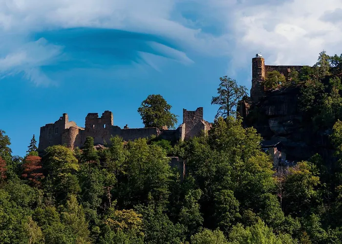 Erholen Im Tiny House Am Waldrand بيت للعطل *